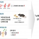 지초도 지디넷코리아