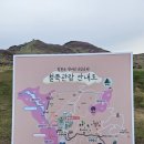 [경남 합천 가볼 만한 곳] 2025년 제29회 황매산 철쭉제 개화 상황