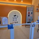 놀러오개 애견유치원 애견호텔 에버랜드점 이미지