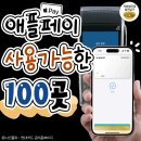 애플레저