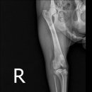 아띠 동물의료센터 이미지