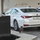 쇼핑스탑 | [신혼여행] 두바이여행 환전, 경비, 쇼핑, 택시비 스탑오버 총정리