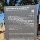 서천 마량리 동백나무 숲 | 충남 여행 - 서천 마량리 동백나무숲 (동백정) 축제 (with 동백꽃 쭈꾸미 축제)