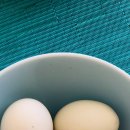 당뇨에 계란 노른자 콜레스테롤 성분 먹어도 되나? 이미지