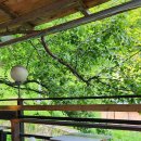 혜민식당 이미지