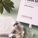 시선끌다 이미지