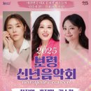 2025 보령 신년음악회 이미지