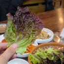 신설보쌈앤칼국수 | 신설동역 직장인 가성비 맛집 <신설보쌈칼국수>