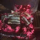 국용농장 이미지