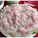 술나라 Daum카페