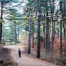(마감)2/21(토)~2/22(일) 켄싱턴리조트 가평 이미지