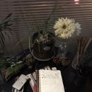 실로 | [전포술집] 전포 분위기 좋은 맛집 실로 후기 | 혼술•데이트 추천