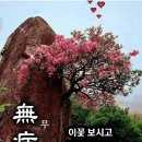 1033 Daum카페