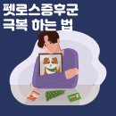 부산반려동물장례식장 펫로스증후군 극복 방법 이미지