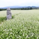 *재경13 전주 사범 동창회 정기모임 안내 이미지