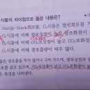 광보상점과 CO2보상점은 다른 뜻인가요? 이미지