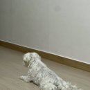 종민농장 이미지