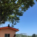 진도펜션 소해정 이미지