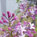 하늘기쁨작은도서관 이미지