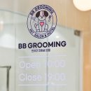 비비그루밍 이미지