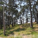 송호해수욕장1화장실 이미지