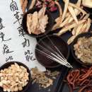 서울산 동물병원 네이버블로그