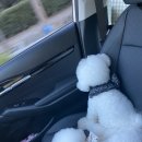 대동세차장 이미지