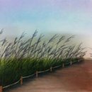 보태니컬 이미지