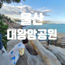 대왕암공원 | 울산 대왕암공원 후기｜모르면 손해 보는 산책코스 출렁다리 꿀팁 총정리