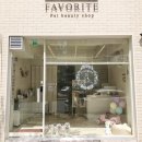 펫뷰티샵 페이보릿 이미지