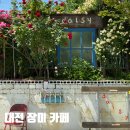 136 | 대전 송강동 카페 데이지136 장미 포토존 실시간 후기