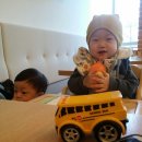 동구버스-2 이미지