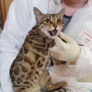 천변1길 이미지