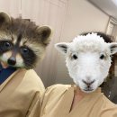 포인트 게임존 | 방콕]23주차 태교 여행 🇹🇭 그란데 센터 포인트 프레스티지 방콕 -수영장/사우나/게임존/키즈룸/헬스장 후기