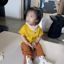 [어린이집 등원룩 추천] 19개월 아기 매일 손이 가는 모이몰른 상하복 후기💛