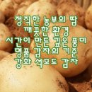 석모도농산물