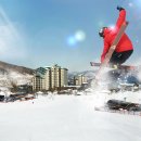 곤지암리조트 이미지