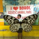 나비농장 이미지