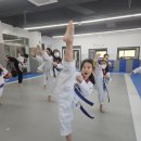 강찬 태권도장 이미지