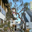 박해윤통영해물밥상 이미지