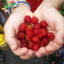 선재어린이집 이미지