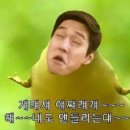 잔비어스 이미지
