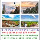 선경투어