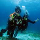 엄마와아들 이미지