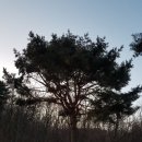 동진 부분정비 | [강화도][역사인물] 김취려 장군 묘 (고려시대, 언양김씨 종친회)
