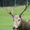 수제통한의원 이미지