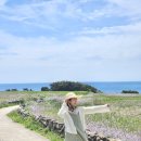 성읍리-24 이미지