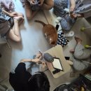 아이러브피자앤치킨(신길점) | 다들 힘내 좋아