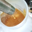 25년 깊은 산골 햇 아카시아꿀 판매합니다. -햇 도토리화분 맛보기 증정- 이미지