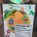 원곡역 1번출구 뒤 | 26.01.17 성수 록집 - 배유나, 달위의콜린스, 최광일, Caretaker